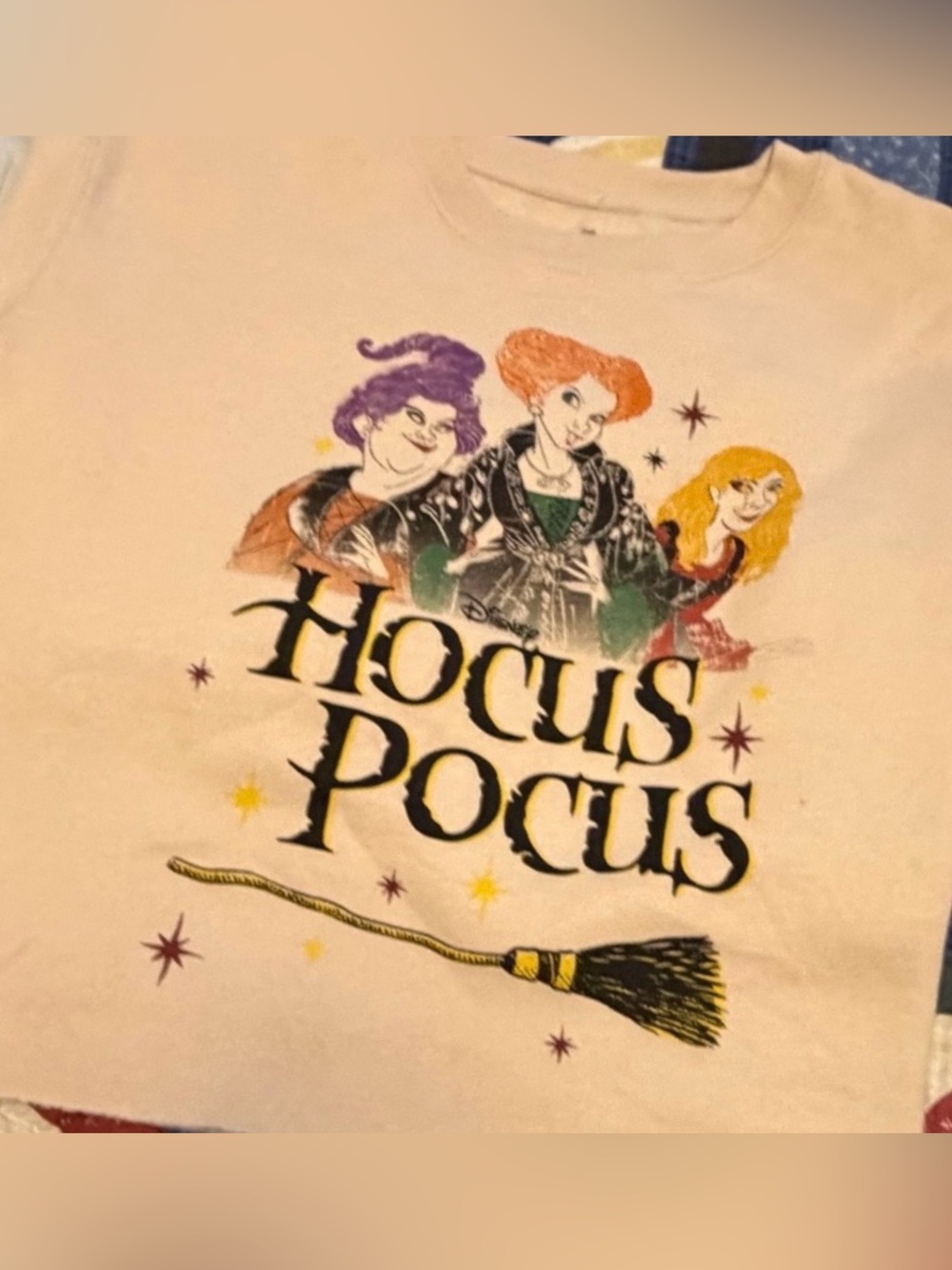 Disney Hocus Pocus Cropped Sweatshirt